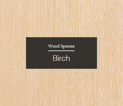 Birch Wood Sample