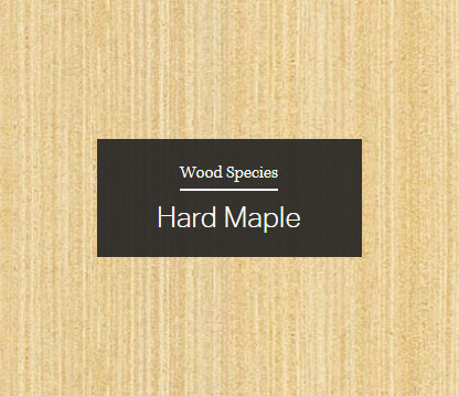 Hard Maple Wood sample