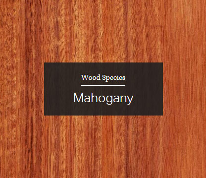 Mahongany Wood Sample