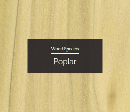 Poplar Wood Sample