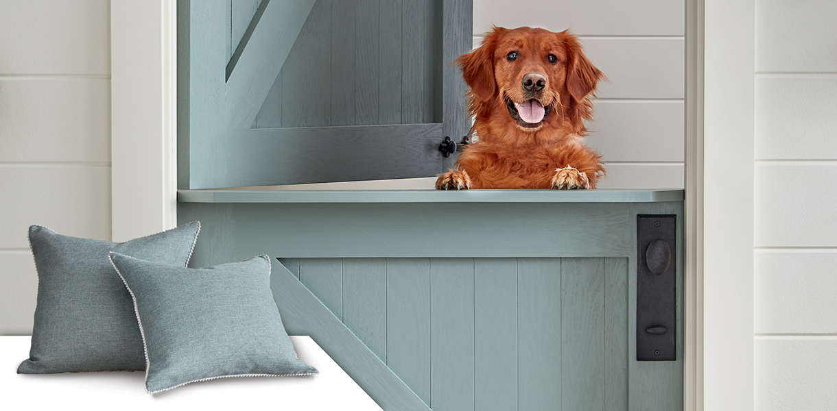 door with blue stain and dog