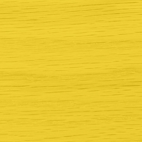 Daffodil 1008