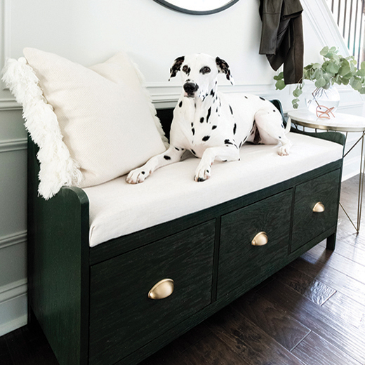 @craftedbythehunts dog and furniture