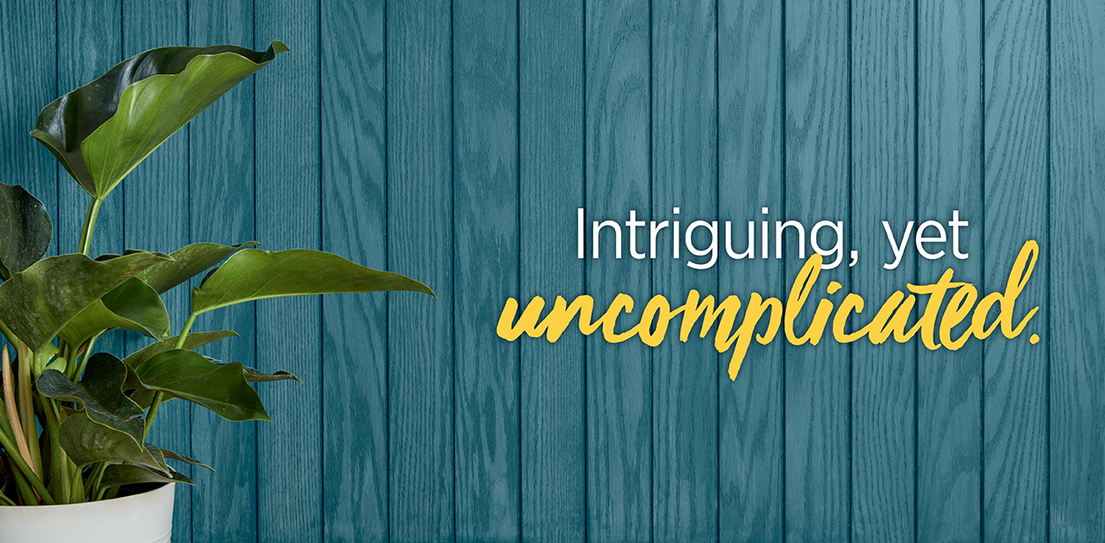 Bay Blue Minwax 2024 Color of the Year Minwax®